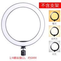 三色可调26cm灯[云台款]|美颜化妆摄像灯拍照纹绣珠宝led补光灯手机自拍双色温摄影灯主播A3