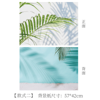 款式二绿植|3d立体背景纸拍照道具ins风网红拍摄摆件饰品美食摄影背景布A8