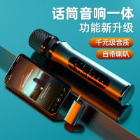 话筒音响一体麦克风 专业蓝牙手持舞台全民唱歌电视手机k歌神器户外ktv音箱 送通用接收器u段 家用无线