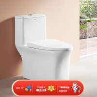 ARROW箭牌普通马桶无唇设计双孔出水喷射虹吸家用连体坐便器AB1606[含角阀软管+法兰圈,不含安装]