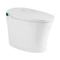 箭牌(ARROW)智能马桶全自动一体机语音控制泡沫盾电动坐便器AKB1322-TM(不含安装)