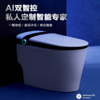 箭牌(ARROW)智能马桶感应翻盖前置过滤停电冲水妇泡沫盾釉面紫外线杀菌旋涡虹吸冲洗AKB1315-HM(不含安装)预售