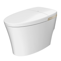 箭牌(ARROW)智能马桶无惧低压脚感冲水妇洗臀洗电动坐便器AKX1003-A