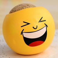 草头娃娃长草小盆栽小草迷你植物创意幼儿园DIY种植儿童可爱礼物|大笑表情花盆+营养土+种子