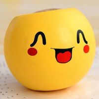 草头娃娃长草小盆栽小草迷你植物创意幼儿园DIY种植儿童可爱礼物|可爱表情花盆+营养土+种子