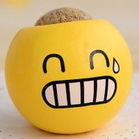 草头娃娃长草小盆栽小草迷你植物创意幼儿园DIY种植儿童可爱礼物|冒汗表情花盆+营养土+种子