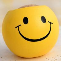 草头娃娃长草小盆栽小草迷你植物创意幼儿园DIY种植儿童可爱礼物|微笑表情花盆+营养土+种子