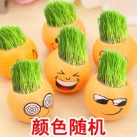 草头娃娃长草小盆栽小草迷你植物创意幼儿园DIY种植儿童可爱礼物|随机4种表情花盆+营养土+种子
