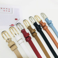 女士真皮细腰带百搭连衣裙装饰皮带韩休闲西裤带收腰多孔调节皮带