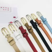 女士真皮细腰带百搭连衣裙装饰皮带韩休闲西裤带收腰多孔调节皮带