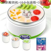 一年换新 全自动酸奶机自制酸奶 不锈钢内胆酸奶机|钢胆酸奶机[10小包菌粉+3分杯