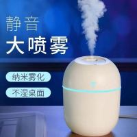 加湿器家用卧室静音迷你大雾容量空气办公室车载|普通款【静音喷雾+灯光】白色 配送【数据线+5根棉棒】