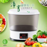 果蔬肉类解毒机消毒机家用清洗机祛农残激素|经典款