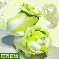 正版蔬菜精灵菜狗娃娃抱枕睡觉抱玩偶男生礼物白菜狗公仔毛绒玩具