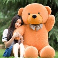 可爱泰迪熊毛绒玩具公仔布娃娃抱抱熊猫送女友2米大号生日礼物1.8|浅棕色泰迪熊 2.5米(超大号)送玫瑰花