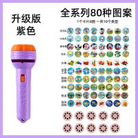 儿童趣味投影手电筒玩具宝宝早教卡片睡前故事识图案发光玩具投影|[升级版]紫色手电配80图