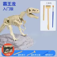 恐龙化石考古挖掘玩具男女孩儿童节diy手工礼物拼装恐龙骨架模型|霸王龙+工具
