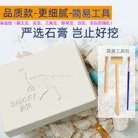 恐龙化石考古挖掘玩具男女孩儿童节diy手工礼物拼装恐龙骨架模型|盲盒款+工具