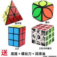 魔方全套初学者12件套王者荣耀一二三四五六阶异形百变不规则玩具|自带计时三阶+金字塔+枫叶+223