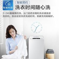 eb65m019 6.5公斤kg家用全自动小神童小型迷你波轮洗衣机