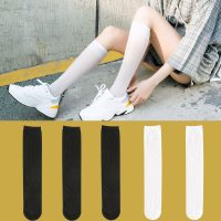 SUNTEK小腿袜女黑色长筒ins潮夏季薄款天白色丝袜日系中筒透明袜jk 3黑2白 均码