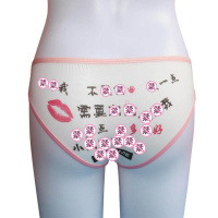 SUNTEK另类情趣超污羞耻文字内裤 日系可爱二次元女诱惑三角裤透视内衣情趣内衣