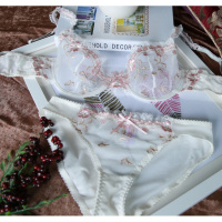 SUNTEK夏季新款内衣女刺绣超薄款内衣透明诱惑情趣蕾丝文胸套装少情趣内衣