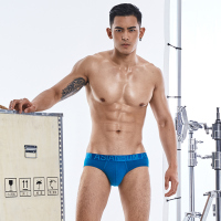 SUNTEK棉质男士性感U凸三角裤 低腰宽边内裤修身男生底裤