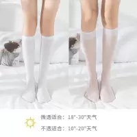 SUNTEK大码小腿袜女200斤袜子女丝袜及膝袜日系薄款夏季白色百搭 白色不透2白色微透3[5双] 均码