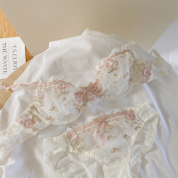 SUNTEK日系白色蕾丝薄款性感网纱内衣bralette套装刺绣少女聚拢上托文胸文胸套装