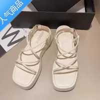 SUNTEK罗马凉鞋女2023年新款夏季网红仙女风交叉细带松糕厚底露趾沙滩鞋