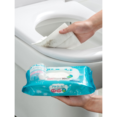 日本家用坐便器清洁湿巾便携式卫生间厕所马桶消毒湿纸巾3包