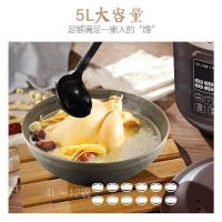 / dg50easy201/wtgs401电炖锅家用砂锅电炖盅煮粥煲汤锅