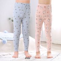 宝宝莱卡棉秋裤单条内裤小孩薄线裤男女春秋家居裤女童儿童棉毛裤