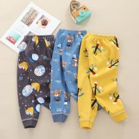 春秋款儿童秋裤纯棉男童女童全棉衬裤中大童单件裤小孩内穿家居裤