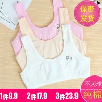 发育期女童小背心初中女生文胸小学生防凸点内衣少女儿童胸罩韩版