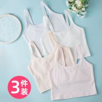 女童内衣发育期小背心女大童小学生初中生纯棉儿童9-12岁少女文胸