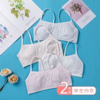 少女内衣发育期儿童女童大童小女孩女学生12岁13岁纯棉吊带小背心