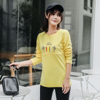 哺乳衣秋装外出产后月子服上衣时尚百搭辣妈款喂奶春秋长袖t恤女