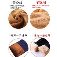 春夏加肥加大200-230斤秋冬加绒加厚保暖黄金绒高腰收腹弹力女裤