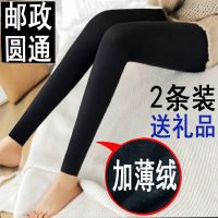 绒裤打底裤女内外穿春秋冬薄款拉绒加绒薄绒高腰保暖紧身学生秋裤