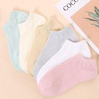 袜子女夏季薄款纯色棉船袜女花边浅口短袜网孔透气隐形女袜子