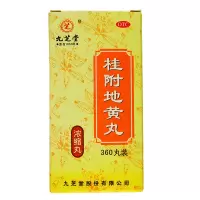 九芝堂桂附地黄丸360丸/盒浓缩丸