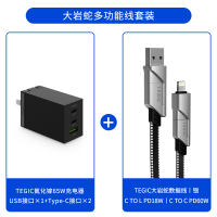 TEGIC氮化镓充电器65W快充头MacBookPro|大岩蛇多功能线套装丨配TEGIC大岩蛇多功能线丨银