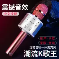 全民手机k歌神器无线蓝牙儿童麦克风话筒音响快手声卡设备