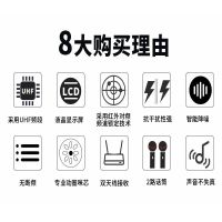 专业u段无线话筒会议卡拉ok麦克风家用ktv一拖二婚庆舞台户外k歌