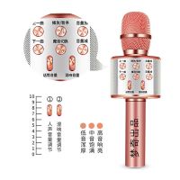 梦奇专业全民k歌神器声卡手机唱歌无线麦克风话筒变声器掌声ktv