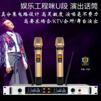 一拖二无线麦克风话筒家用ktv卡拉ok会议舞台演出u段无线话筒