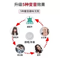全民k歌神器麦克风手机无线蓝牙k歌话筒一体声卡变声器音响麦克风