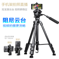 云腾691手机支架自拍照相机抖音同款直播视频拍摄单反户外三脚架大补光灯遥控多功能户外落地网红滑轮三角架